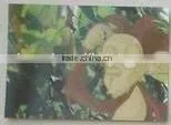 3D Card,pvc Card thumbnail-1