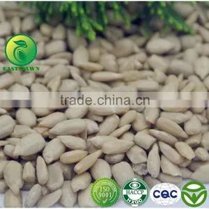 Sun Flower Seed Kernels Market Peice thumbnail-3