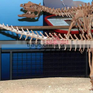 Realistic Dinosaur Skeleton Replica Of Thescelosaurus thumbnail-1