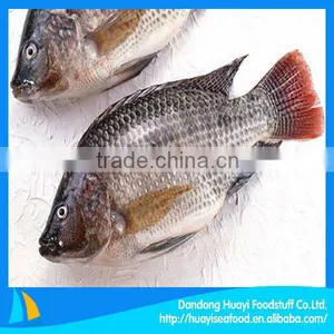 Hot Sale Fish Product Tilapia Wholesale Price thumbnail-1