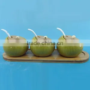 Modern Design Three Ceramic Seasoning Container With Spoons thumbnail-6