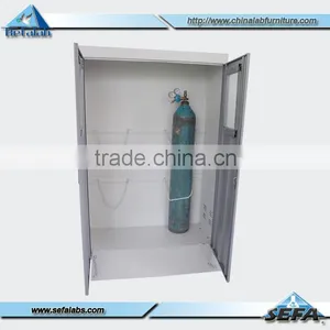 Gas Cabinets Lab Furniture Stainless Steel Cabinet Laboratory thumbnail-2