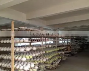 Xiamen Jchope Trade Co., Ltd. company overview - view 2 thumbnail
