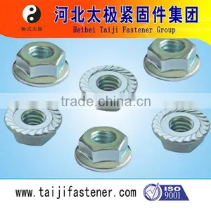 Hex Flange Nut thumbnail-6