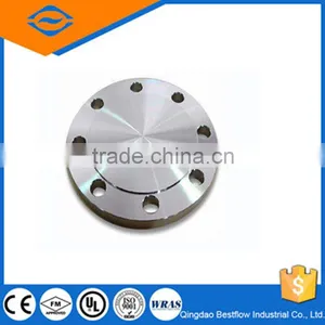 20% Discounted AISI Stainless Steel Blind Flange/304 Forged Stainless Steel Flange thumbnail-1
