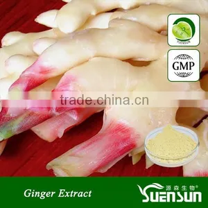Pure Natural From 11 Years Experience Manufacture Ginger Powder Price thumbnail-1