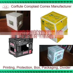 Foldable pp Plastic Asparagus Packing Boxes thumbnail-1