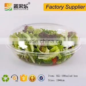 Disposable Plastic Fresh Salad Packing Container With Clear Hinged Lid thumbnail-4