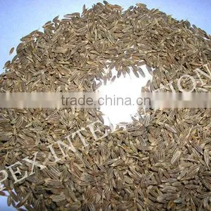Cuminum Cyminum / Cumin Seeds / Jeera thumbnail-1