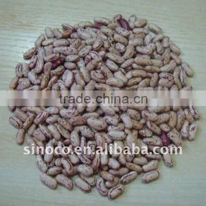 Mottled Dried Bean thumbnail-1