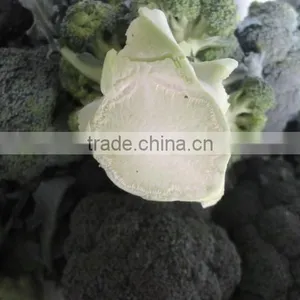 Chinese Broccoli thumbnail-1