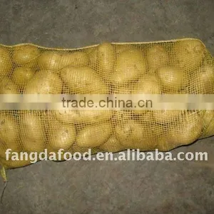 Potato in Bulk Packing thumbnail-1