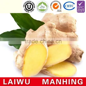 2016 Competitive Price Mesh Bag Ginger thumbnail-1