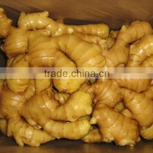 Cheap Ginger thumbnail-1