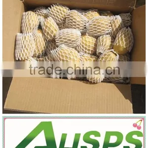Fresh Potato Price, Potato, Potato Prices thumbnail-1