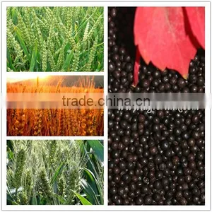 AGROLINK Humic Amino Compound NPK 15-2-3 thumbnail-6