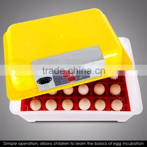 Best Selling Products Mini Automatic Egg Incubator/poultry Egg Incubator Chicken/automatic Egg Incubator(24eggs) thumbnail-4
