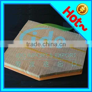 Auto Air Filter for BMW 13717521033 thumbnail-1