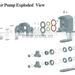 Rotary Lobe Pump/rotor Pump thumbnail-4