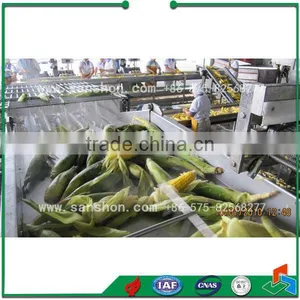 Vegetable Processing Line Soybean Freezing Line thumbnail-4