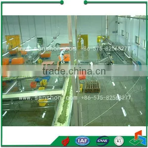 Quick-frozen Vegetable Production Line thumbnail-3