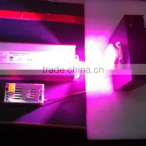 Led Chip Grow Light Kit Diy,100w 7 Band Led Chip for Growing,led Chip 100w thumbnail-3