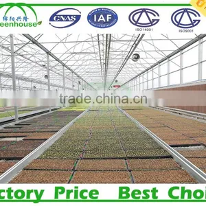 Used Galvanized Steel Pipe Frame Tunnel Greenhouse for Sale thumbnail-5