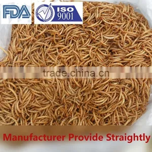 Good Quality Mealworm Treats thumbnail-1
