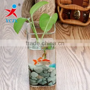 DECORATIVE CLEAR SQAURE HAND GLASS PLANT TERRARIUM thumbnail-1
