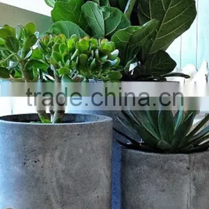 Cement Planter thumbnail-1