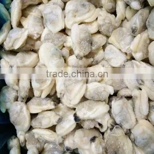 IQF Cooked Baby Clam Meat Without Shell for Export thumbnail-3