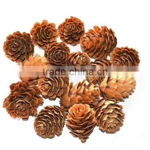Decorative Natural Pine Cones thumbnail-1