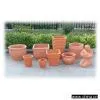 Sell Terracotta thumbnail-1