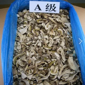 Factory Price Premium Quality Chinese Dried Porcini Mushroom Slices Grade A thumbnail-1