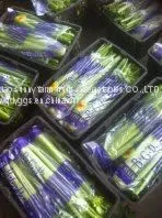 Fresh Celery thumbnail-1