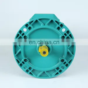 20 hp Hot Sale Three-phase AC Induction Electric Motor Price thumbnail-3