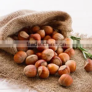 Fresh Natural Chestnut thumbnail-1