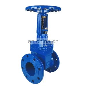 Flexible, Split Wedge Gate Valve thumbnail-5