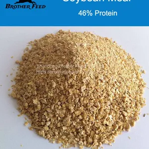 46% Protein Soybean Meal - Soya Bean Meal for Animal Feed thumbnail-1