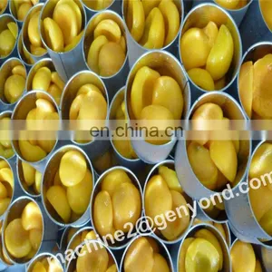 Design Drying Production Line for Fruit of Factory Price thumbnail-5