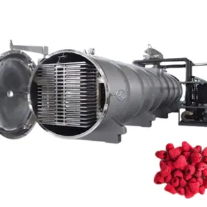 Industrial Commercial 100 Square Meters Capacity Onion Vegetable Vacuum Freeze-drying Machine thumbnail-6