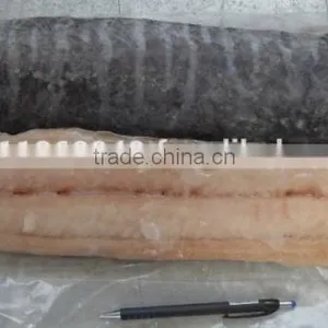 Frozen Wahoo Fillet thumbnail-3
