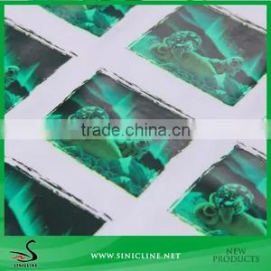 Sinicline Newest Night-luminous Customer Logo Heat Transfer Label for Cool Clothing thumbnail-1