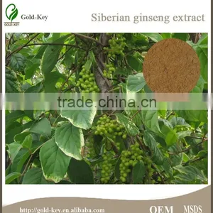 100% Pure Siberian Ginseng Root Extract Powder thumbnail-2