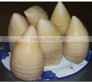 Canned Bamboo Shoot With High Quality thumbnail-1