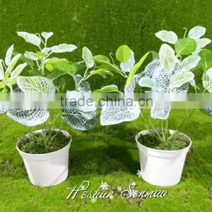 Selling Table Decoration Plastic Grass Bonsai in High Quality thumbnail-3