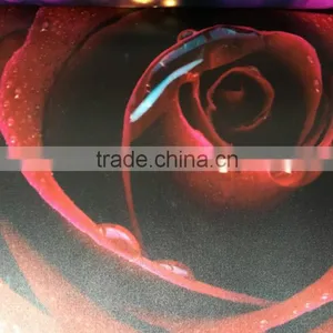 Indoor Silk Fabric CMYK Printing thumbnail-1