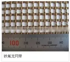 Best PTFE Coated Glass Fabric Mesh Belt thumbnail-1