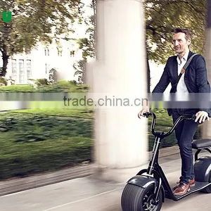 China Supply New Design 2 Wheel Fat Tire Bicycle Electric Motor Electric Scooter thumbnail-6