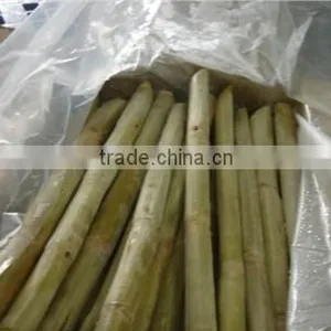 Frozen Sugarcane From VietNam QQ : 2598494113 thumbnail-3